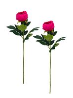 Set de 2 Peonías 75 cm Fucsia