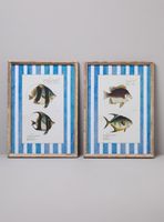 Set de 2 Cuadros Peces 2