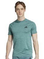 Polera Training Gym+ Tee