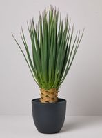 Planta Decorativa Dracena 63 cm