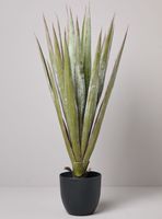 Planta Decorativa Agave 78 cm