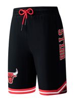 Short Regular Fit con Malla y Logo Lateral Chicago Bulls