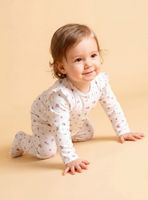 Osito con Vuelos y Print