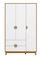 Clóset Ipe 3 Puertas 2 Cajones