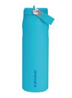 Botella de Agua Térmica Flip Straw Aerolight Splash 710 ml