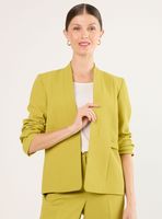 Blazer Liso Diseño Regular Color