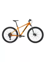 Bicicleta MTB Aggressor R9.1 29' SX Cues 1*9