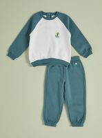 Buzo con Corte Raglán y Estampado Pequeño