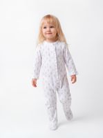 Osito con Vuelo en Frente