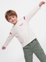 Polera Franja Color en Mangas