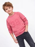 Polerón Parche con Número