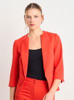 Blazer Liso con Solapa y sin Cuello Manga Regular