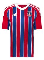 Camiseta Niño Tercera Colo Colo 2025