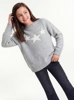 Sweater Tejido Jacquard Figuras