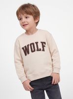 Polerón Parche Cotelé