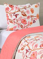 Plumón 1.5 Plazas Tropico