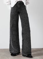 Jeans Whistler Balck Wide Leg