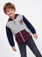 Polerón con Gorro y Bloques de Color