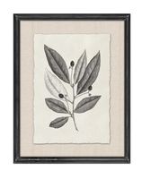 Set de 2 Cuadros Hojas 35 cm