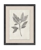 Set de 2 Cuadros Hojas 35x45 cm