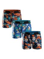 Bóxer Dragon Ball Super