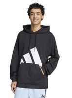 Polerón Big Logo Capucha M Bl Sj Hd