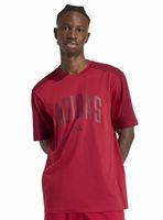 Polera Collegiate Té Big Logo