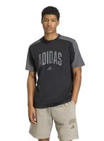 Polera Full Big Logo Collegiate Te