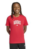 Polera Graphic Universitaria para Niñas y Niños