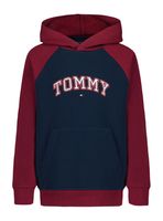 Polerón con Capucha Tommy Bicolor