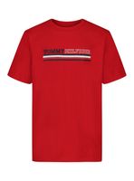 Polera Chest Stripe Logo Color