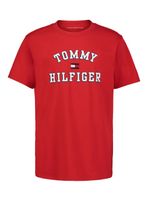 Polera Básica Varsity Logo Niño