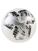 Pelota de Fútbol Logo Big Cat Ball