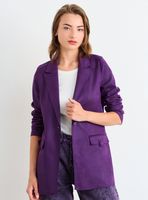 Blazer Antelina