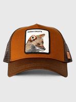 Jockey Zorro Orgánico Unisex