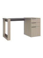 Escritorio Recto 2 Cajones 1 Puerta Office Cartagena y Plomo