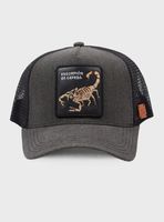 Jockey Escorpion Orgánico Lavado