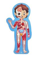Rompecabezas del Cuerpo Humano