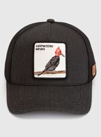 Jockey Carpintero Orgánico Lavado