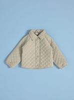 Parka Acolchada con Cuello