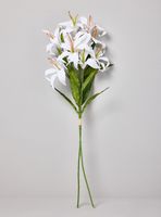 Lilium Blanco 2 Piezas