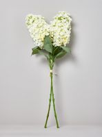 Hortensia Blanco 2 Piezas