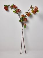 Ramas de Berry 2 Piezas