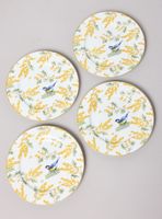 Set 4 Platos 19 cm Mimosa