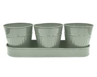 Maceta con base verde