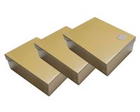 Caja organizadora beige 3 piezas