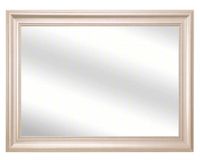 Espejo con marco champagne 75x105x2.7 cm