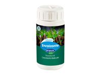Fungicida enraizante WP 50g