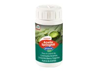 Insecticida aceite Springhill 100cc