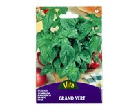 Semilla corriente albahaca grande vita